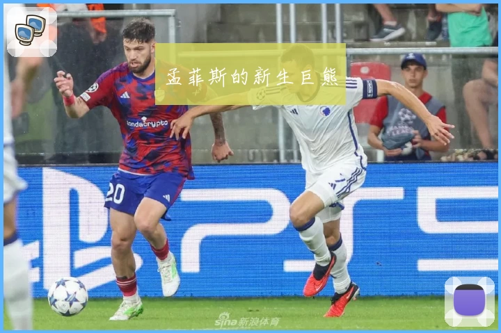 孟菲斯的新生巨熊