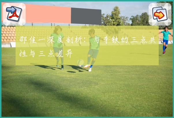 邵佳一深度剖析：与李铁的三点共性与三点差异